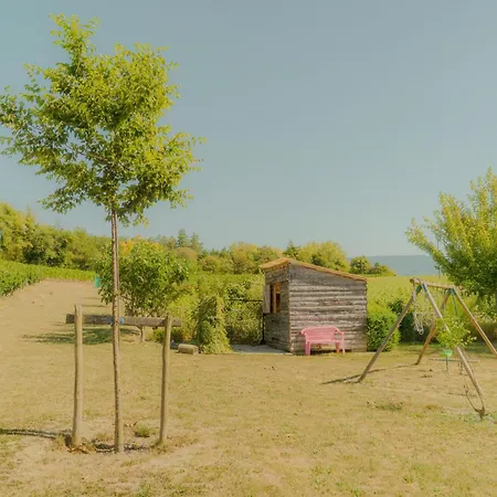 Holiday home Lucien - La Souche Fleurie *